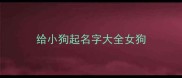 给小狗起名字大全女狗