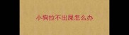 小狗拉不出屎怎么办