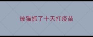 被猫抓了十天打疫苗