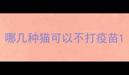 哪几种猫可以不打疫苗