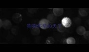 狗狗怀孕50天了
