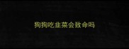 狗狗吃韭菜会致命吗