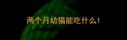 两个月幼猫能吃什么