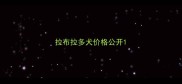 拉布拉多犬价格公开