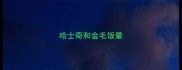 哈士奇和金毛饭量