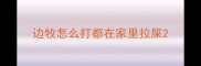 边牧怎么打都在家里拉屎