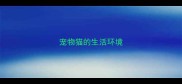 宠物猫的生活环境