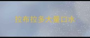 拉布拉多大量口水