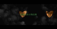 没满月的小狗拉稀