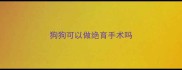 狗狗可以做绝育手术吗