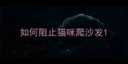 如何阻止猫咪爬沙发