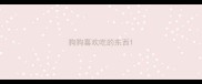 狗狗喜欢吃的东西
