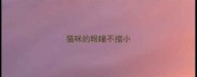 猫咪的眼瞳不缩小