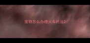宠物怎么办理火车托运