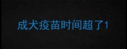成犬疫苗时间超了