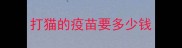 打猫的疫苗要多少钱