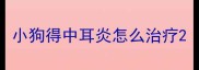 小狗得中耳炎怎么治疗