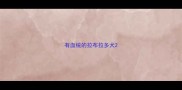 有血统的拉布拉多犬