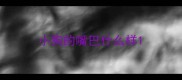 小狗的嘴巴什么样