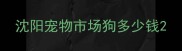 沈阳宠物市场狗多少钱