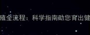 拉布拉多繁殖全流程科学指南助您育出健康优质幼犬