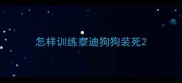 怎样训练泰迪狗狗装死