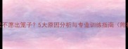 边境牧羊犬不愿出笼子5大原因分析与专业训练指南附视频教程