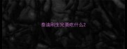 泰迪刚生完要吃什么