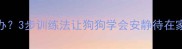 拉布拉多乱叫怎么办3步训练法让狗狗学会安静待在家附每日训练表