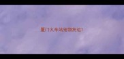 厦门火车站宠物托运