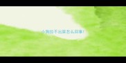 小狗拉不出屎怎么回事