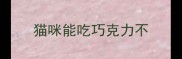 猫咪能吃巧克力不