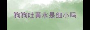 狗狗吐黄水是细小吗