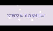 拉布拉多可以染色吗