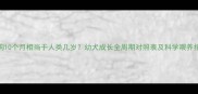 小狗10个月相当于人类几岁幼犬成长全周期对照表及科学喂养指南