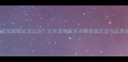 狗狗打完疫苗后呕吐怎么办北京宠物医生详解疫苗反应与应急处理指南