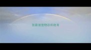 张家港宠物诊所绝育