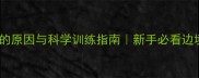 边牧冲人叫的原因与科学训练指南新手必看边境牧羊犬行为