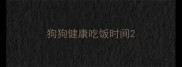 狗狗健康吃饭时间