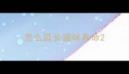 怎么延长猫咪寿命