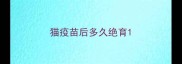 猫疫苗后多久绝育