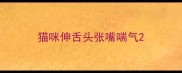 猫咪伸舌头张嘴喘气