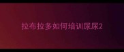 拉布拉多如何培训尿尿