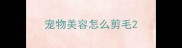 宠物美容怎么剪毛