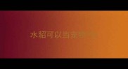 水貂可以当宠物吗