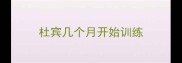 杜宾几个月开始训练