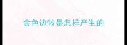 金色边牧是怎样产生的