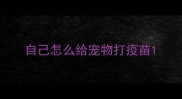 自己怎么给宠物打疫苗
