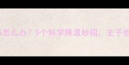 夏季猫咪太热怎么办5个科学降温妙招主子也能清凉一夏