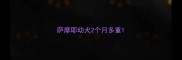 萨摩耶幼犬2个月多重